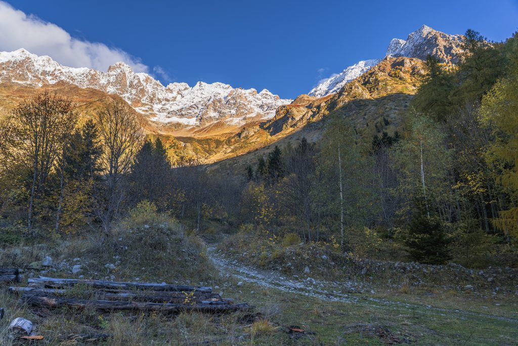 Couleurs d'automne sur le vallon du Béranger, Parc national des Ecrins, Matheysine, Isère