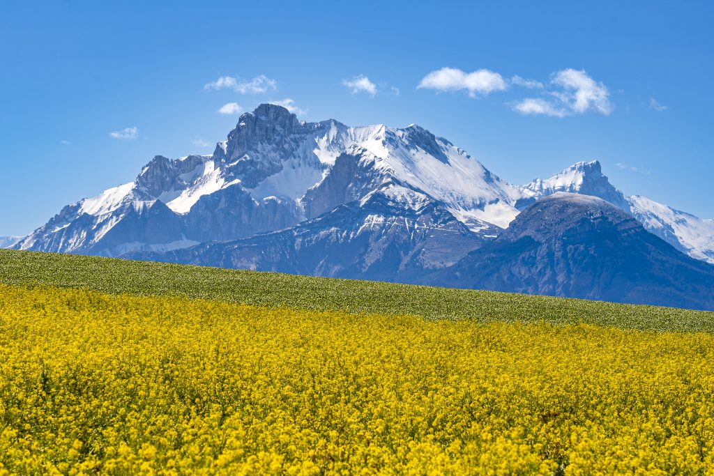 Couleurs de printemps sur l'Obiou et le plateau matheysin, Matheysine, Isère