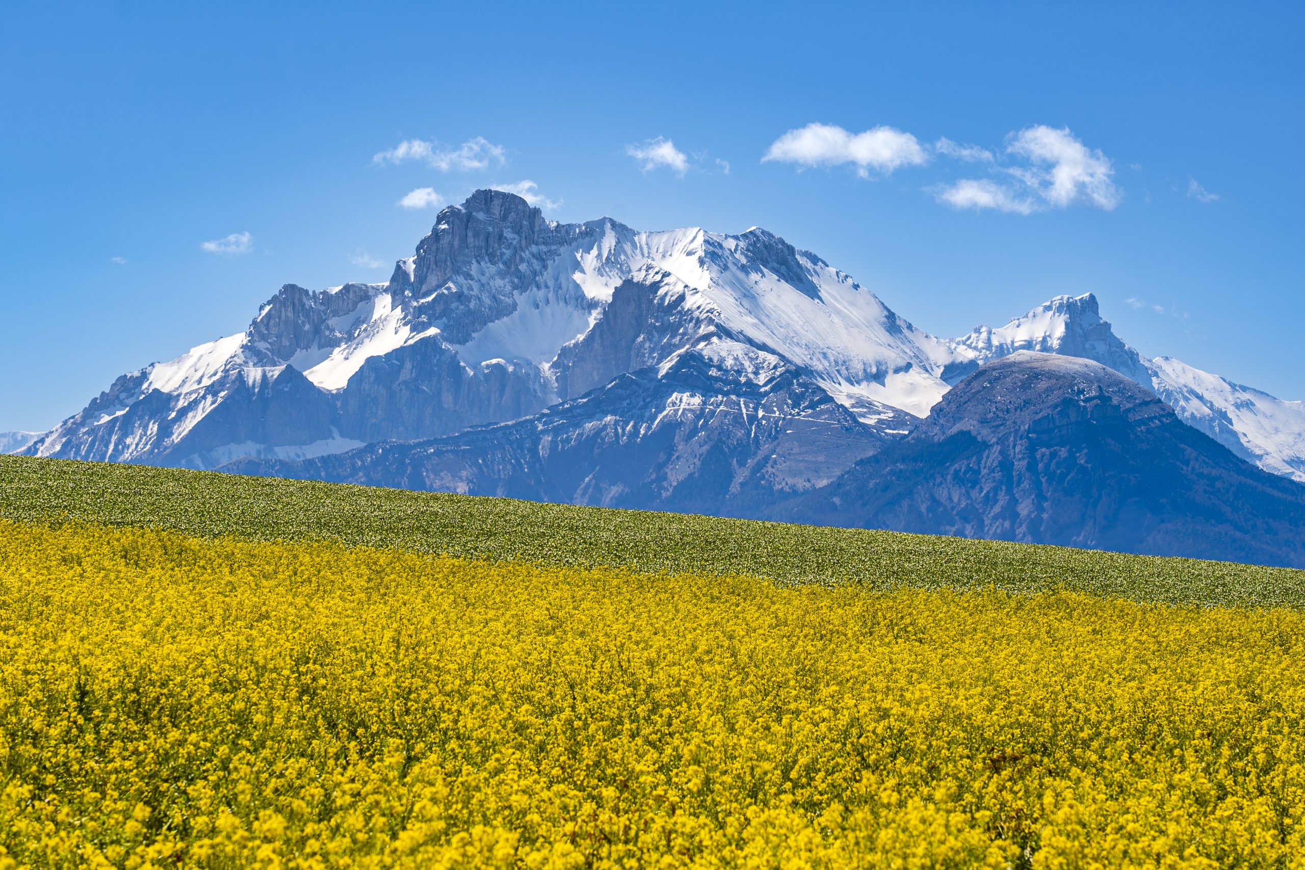 Couleurs de printemps sur l'Obiou et le plateau matheysin, Matheysine, Isère