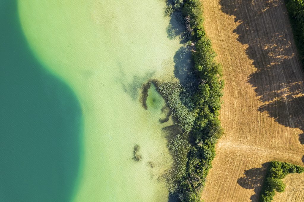 L'été sur le lac de Petichet en Matheysine, Isère