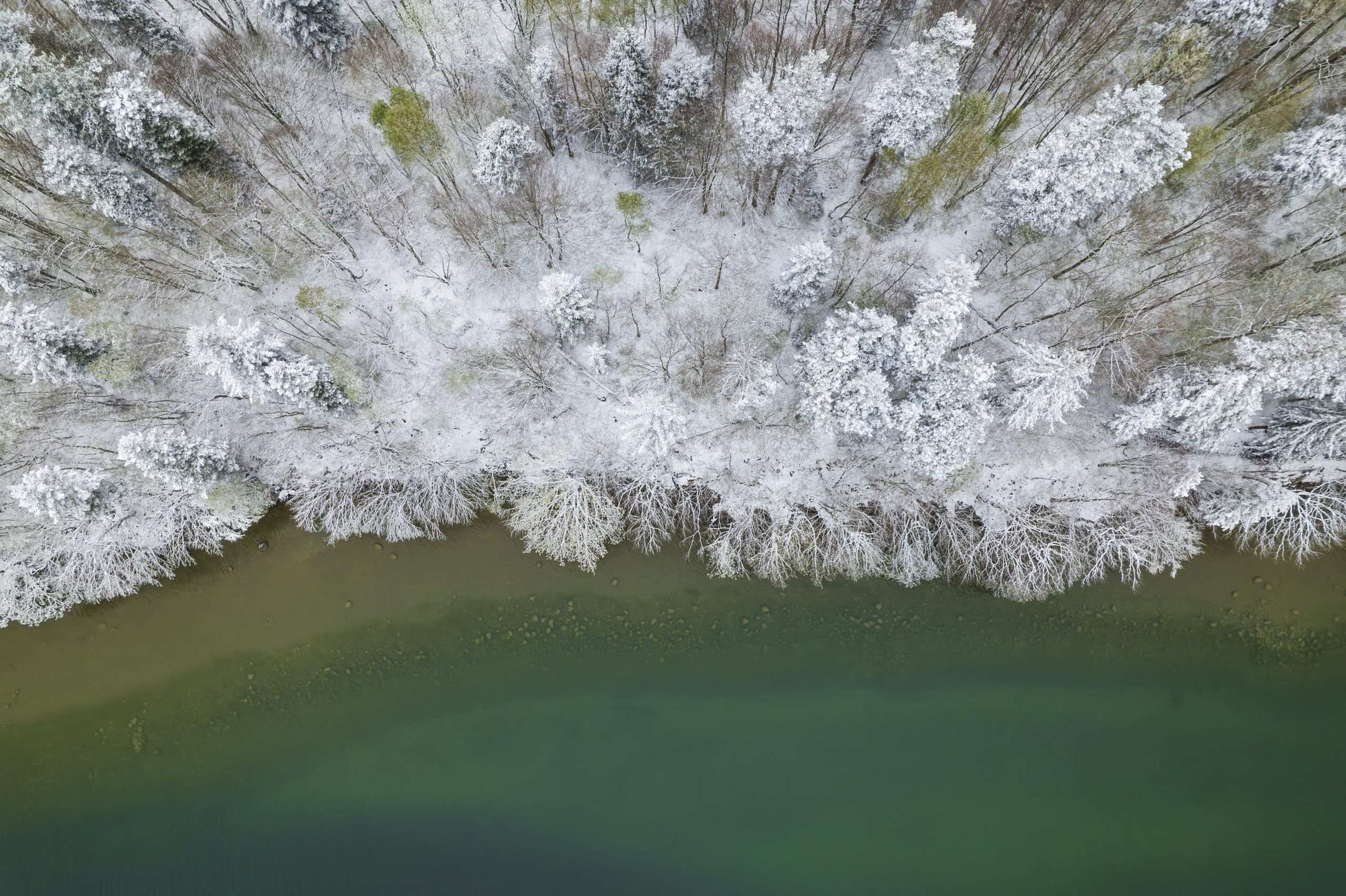Neige de printemps sur le grand lac de Laffrey en Matheysine, Isère