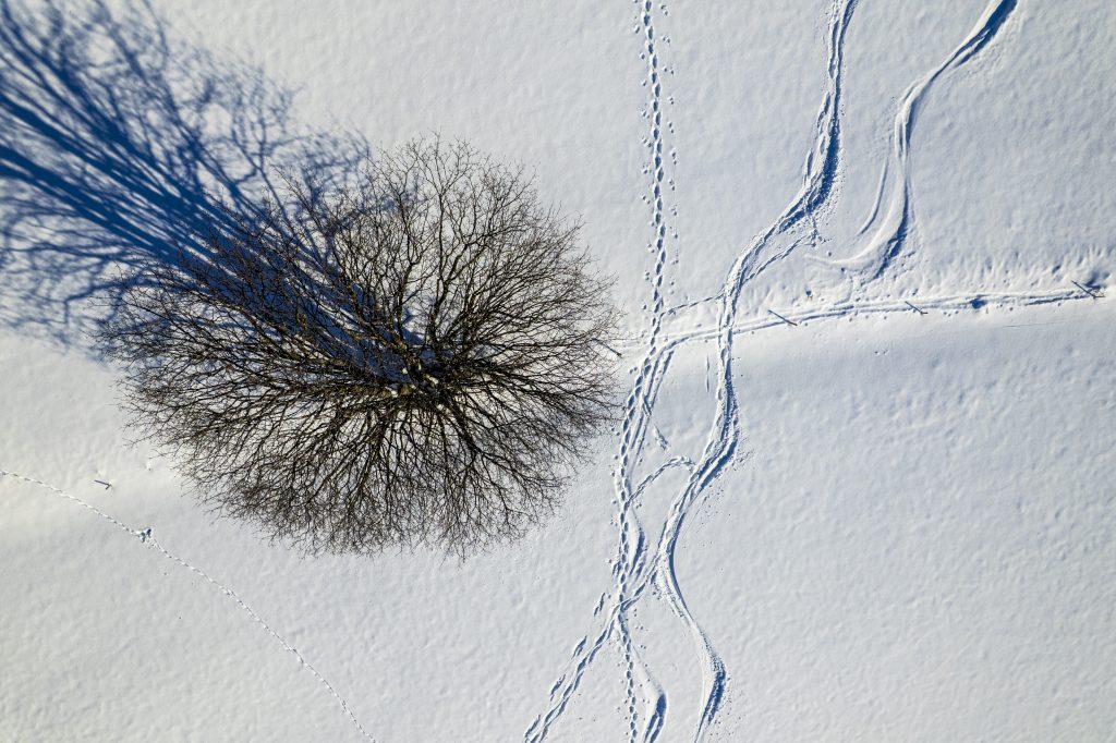 Paysage de Matheysine en hiver