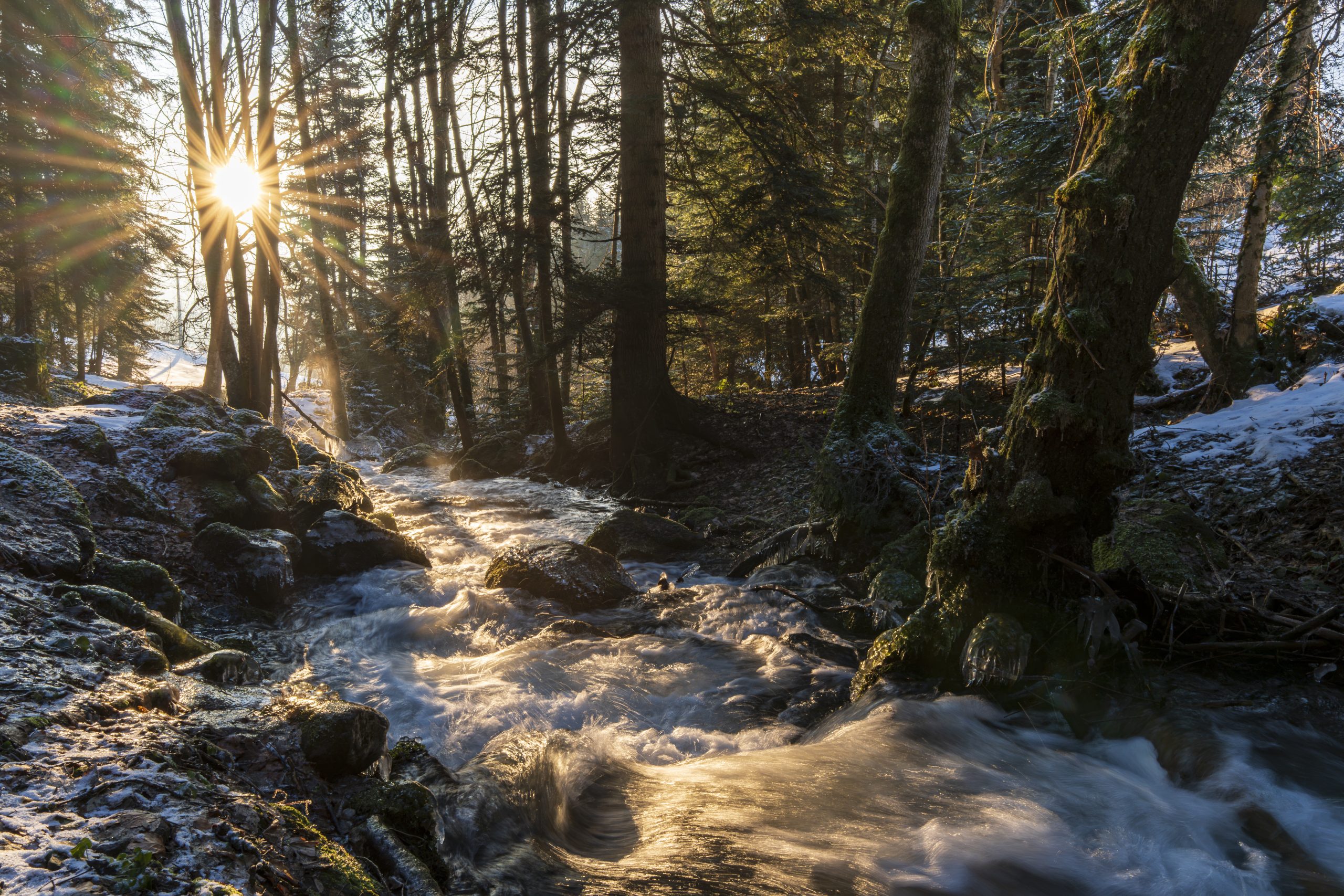 Une rivière gelée, l'hiver, en Matheysine, Isère